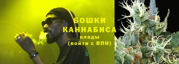 ГАЛЛЮЦИНОГЕННЫЕ ГРИБЫ Надым