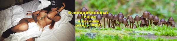 PSILOCYBIN Наволоки