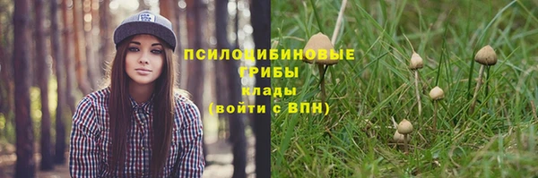 стаф Навашино