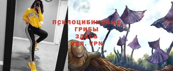 ГАЛЛЮЦИНОГЕННЫЕ ГРИБЫ Надым